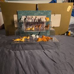 Cat And Dog  Pencil Holders