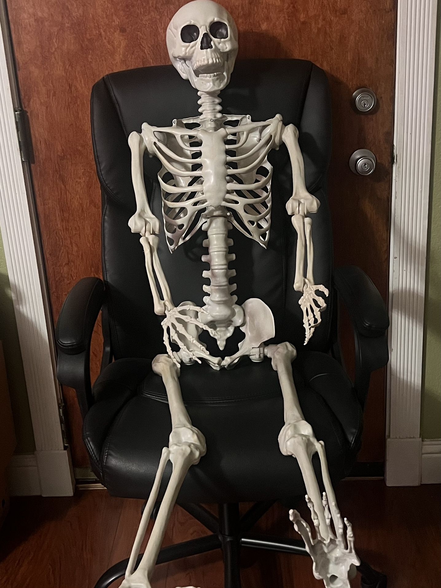 5 ft Halloween Skeleton Life Size Realistic Full Body Used Good Condition $50 Meet Up In Irving @dfwgoods 