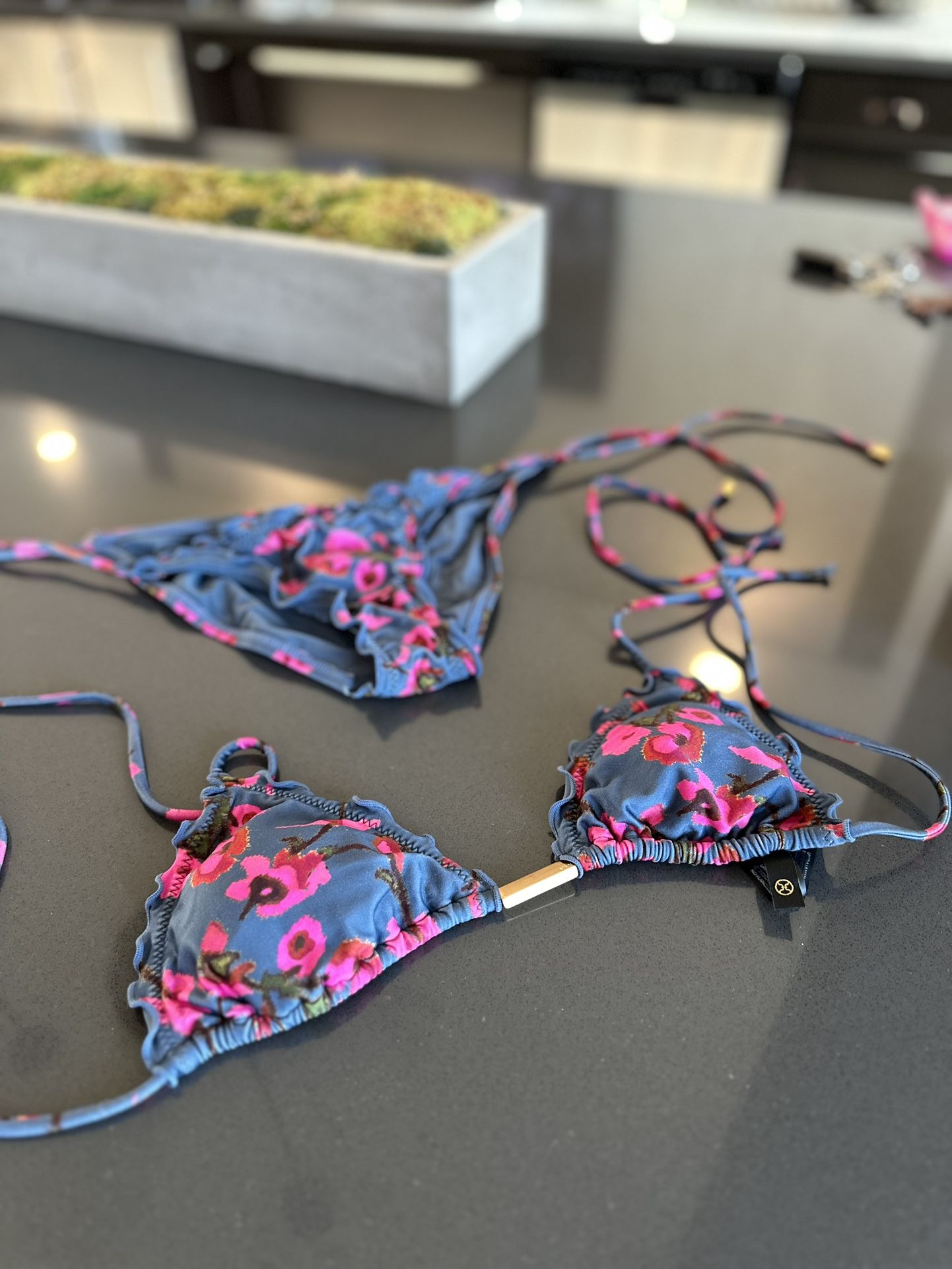 Vix Paula Hermanny bikini