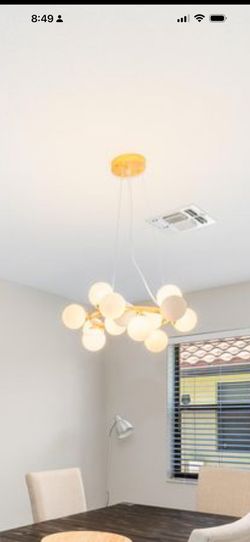 Ceiling Light Fixture (Earliest Pick Up December 10)