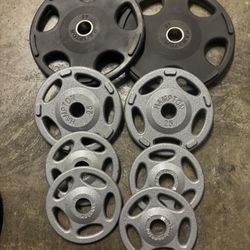 Hampton Olympic Weights 