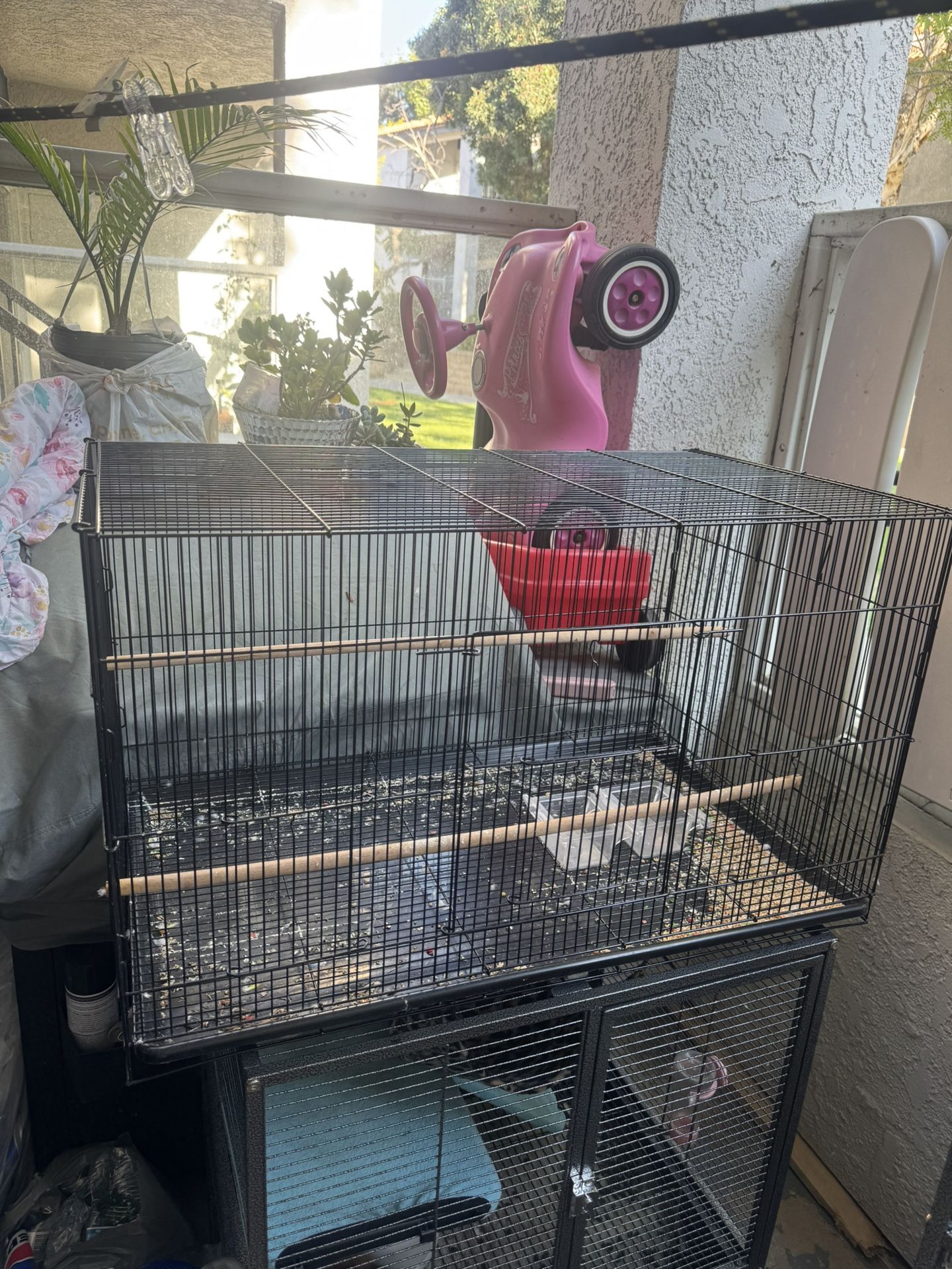 Bird Cage