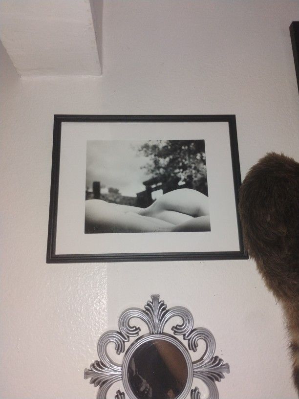 Vintage Ass Frames.