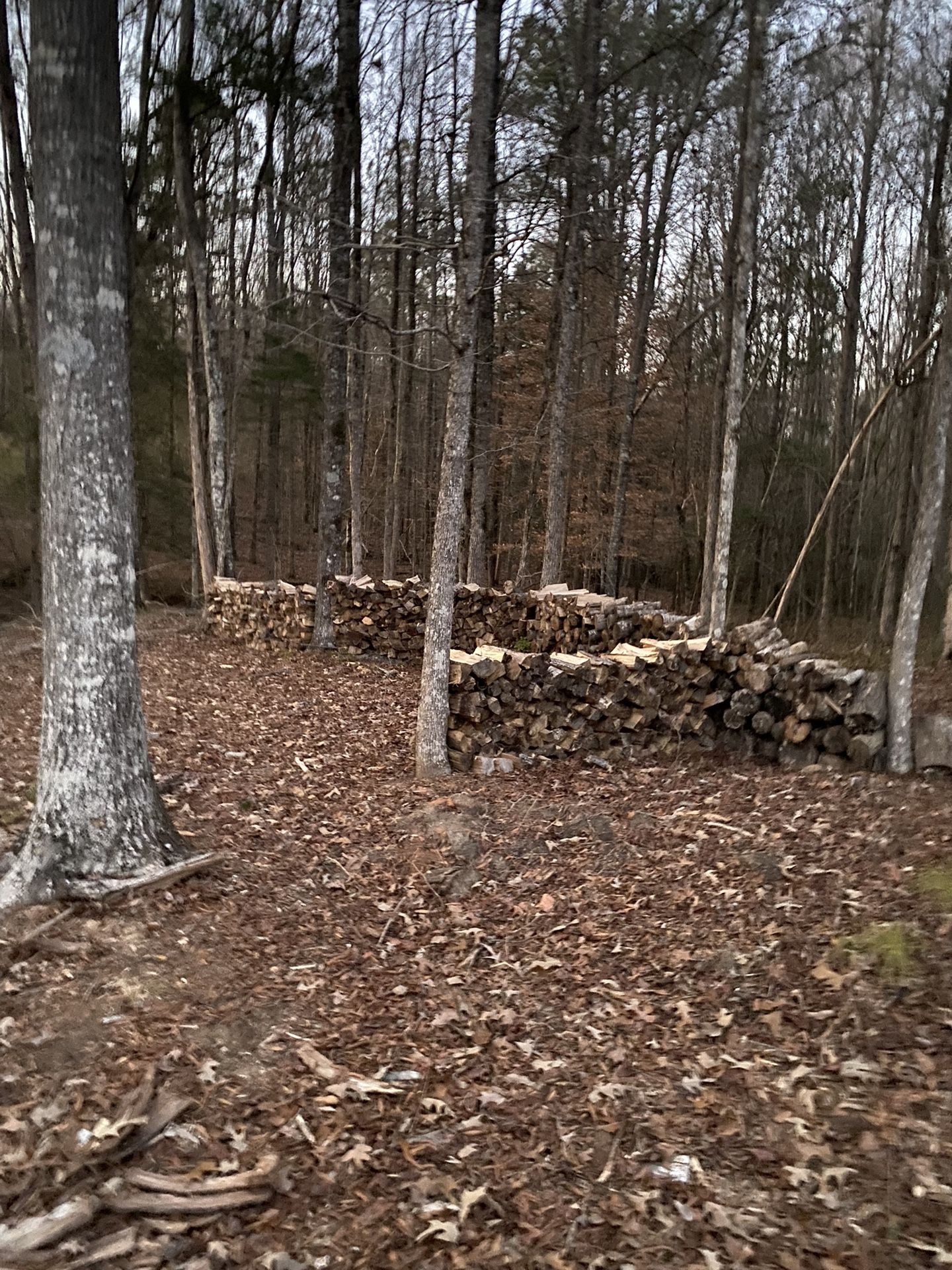 Fire Wood