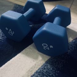 2 Dumbbells-20 Pounds Each