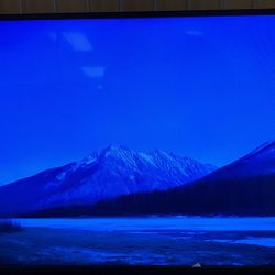 43” Vizio Smart Tv (No Remote Or Stand) 