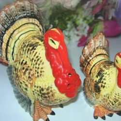 Vintage Turkey salt & Pepper shakers