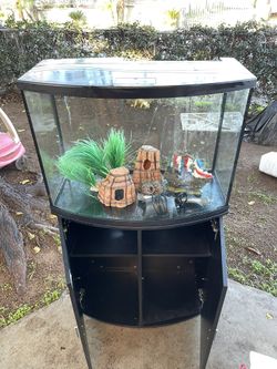 35 Gallon Fish Tank