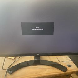 LG Computer Monitor 24 Inch