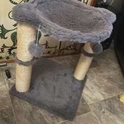 Cat  Tree 