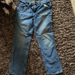 Boy’s Pants Arizona 16 Husky 