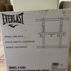 Everlast Speed Bag Platform And Swivel 