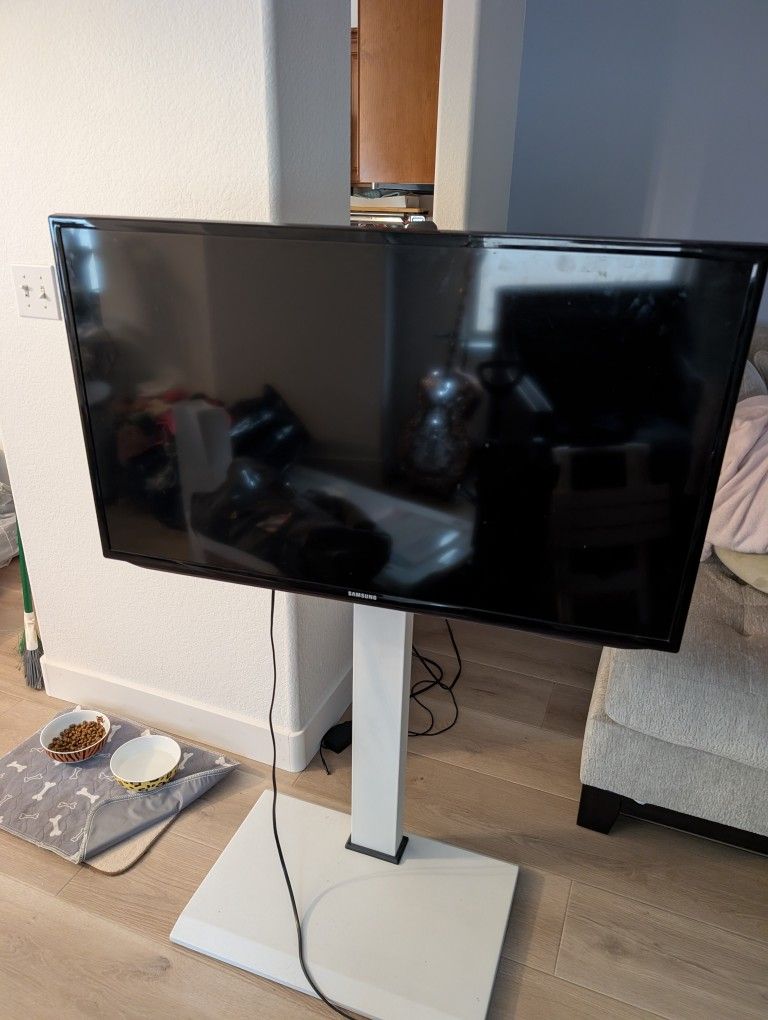 40 Inch Samsung TV w/Swiveling Stand