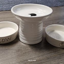 3 Pcs Cat Food or Water Bowl - Vet Recommended Height (5") and Width (6"), 1 inch deep, holds 2 cup