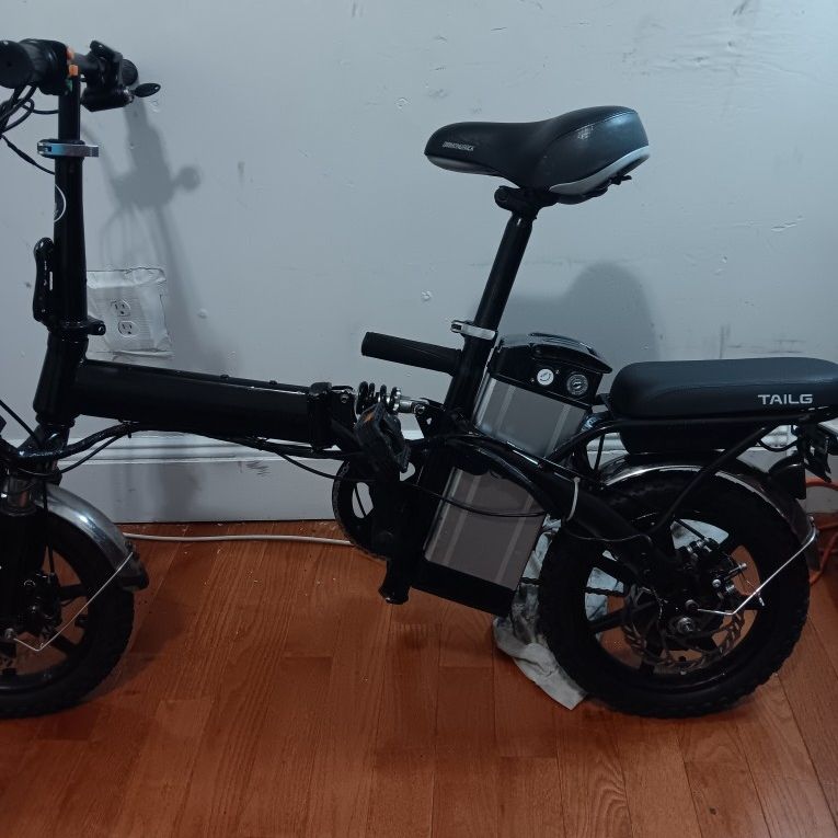 tailg electric bicycle Citi Bug E-Bike Tailg lithium battery bicycle