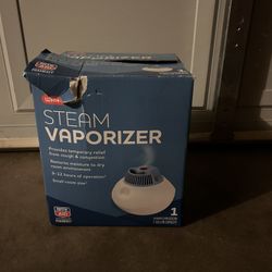 Steam Vaporizer 