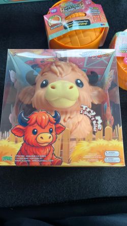 Highland cow