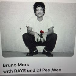 Bruno Mars Concert. Miami. Lower Bowl 