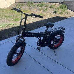 EOEOTWO Electric Bike