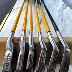 Momentus Golf Swing Trainer – Multiple Models – $29 Each