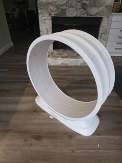 Cat Running wheel