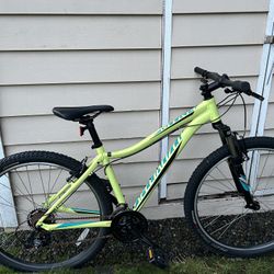 Specialized Mountain Bike 