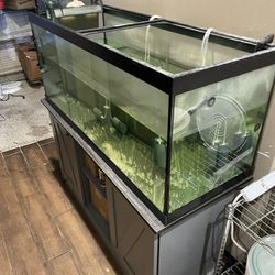 75 Gal Fish Tank And Base Plus Accessories 