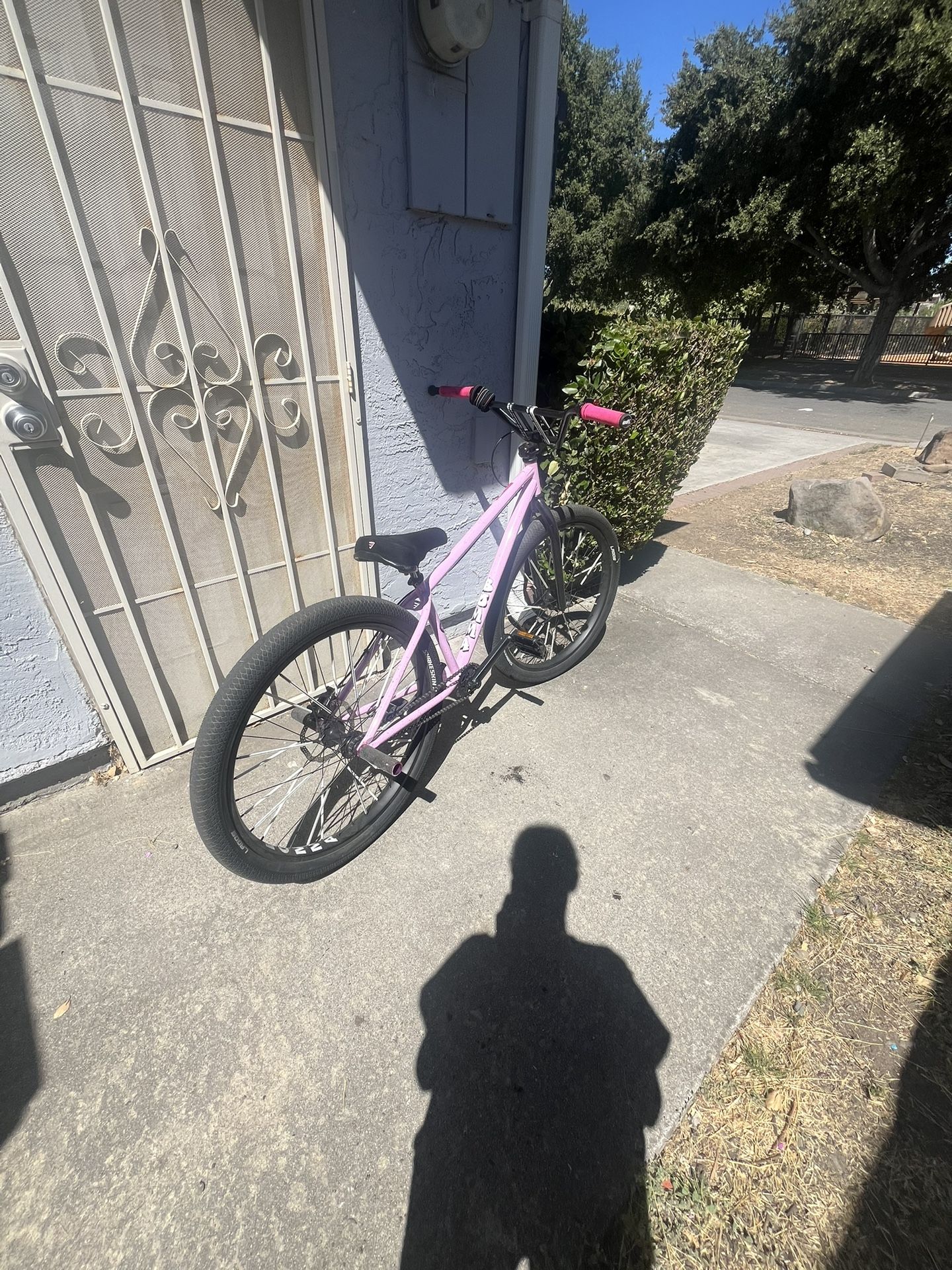 Pink Bomma 26inch