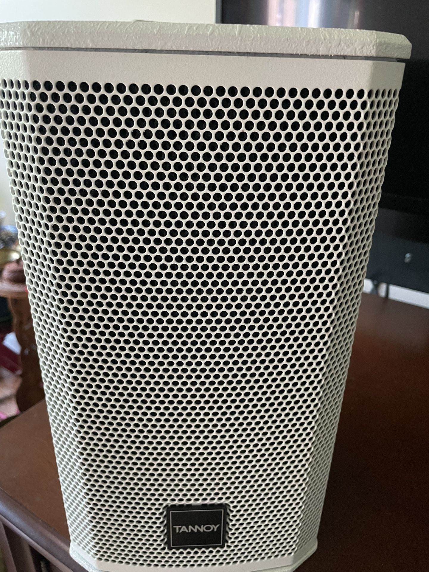Tannoy VX 5.2 Wall Mountable Commercial Speaker!