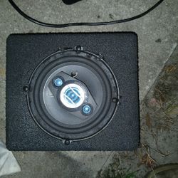 Pioneer Speaker