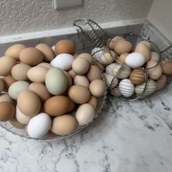 Se Vende Huevos Orgánicos - Organic Eggs For Sale