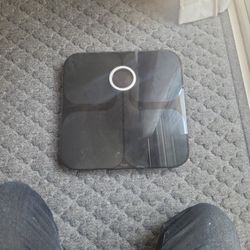 Fitbit Scale 