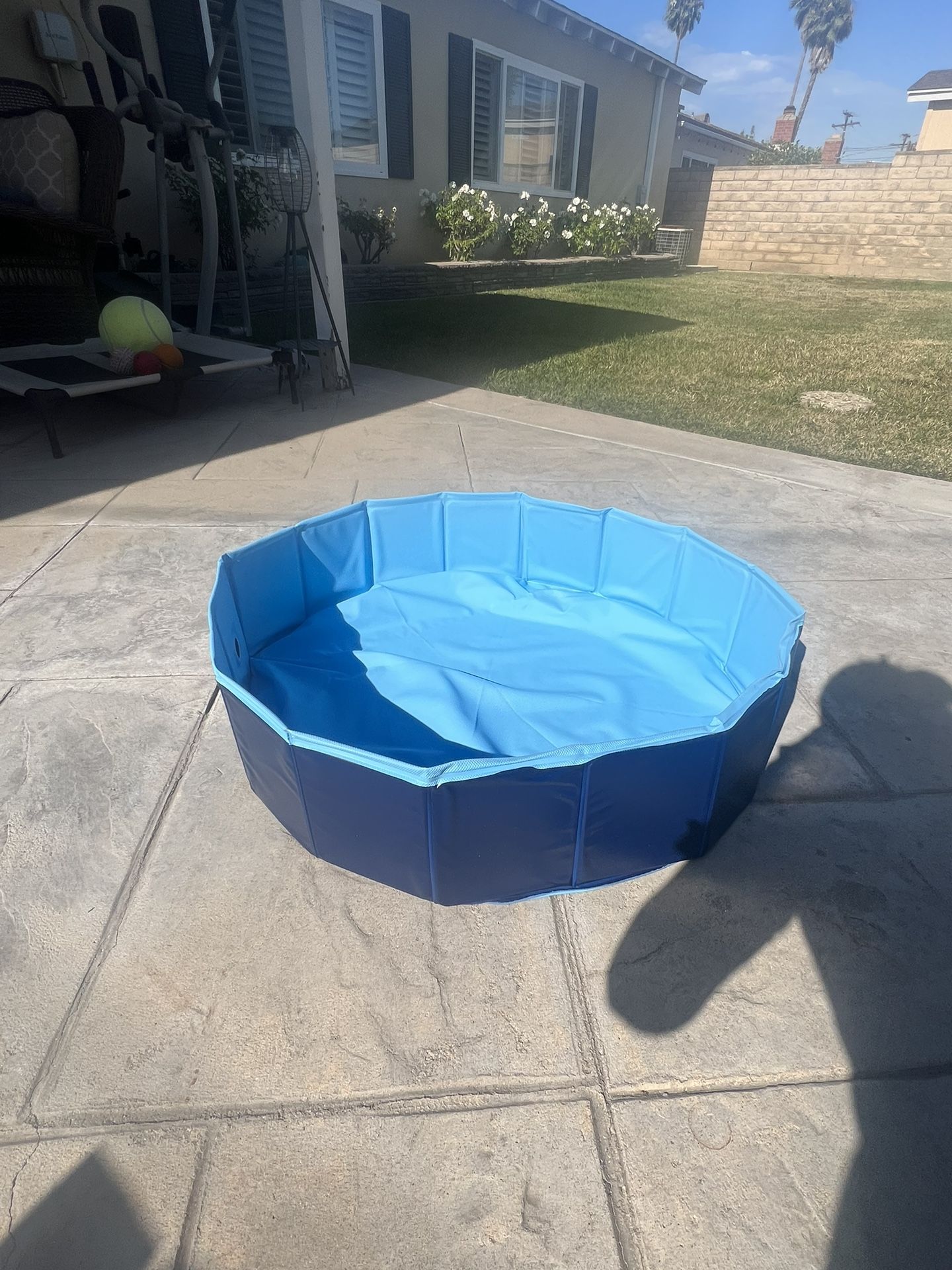 Small Dog Pool