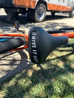Throne 29er