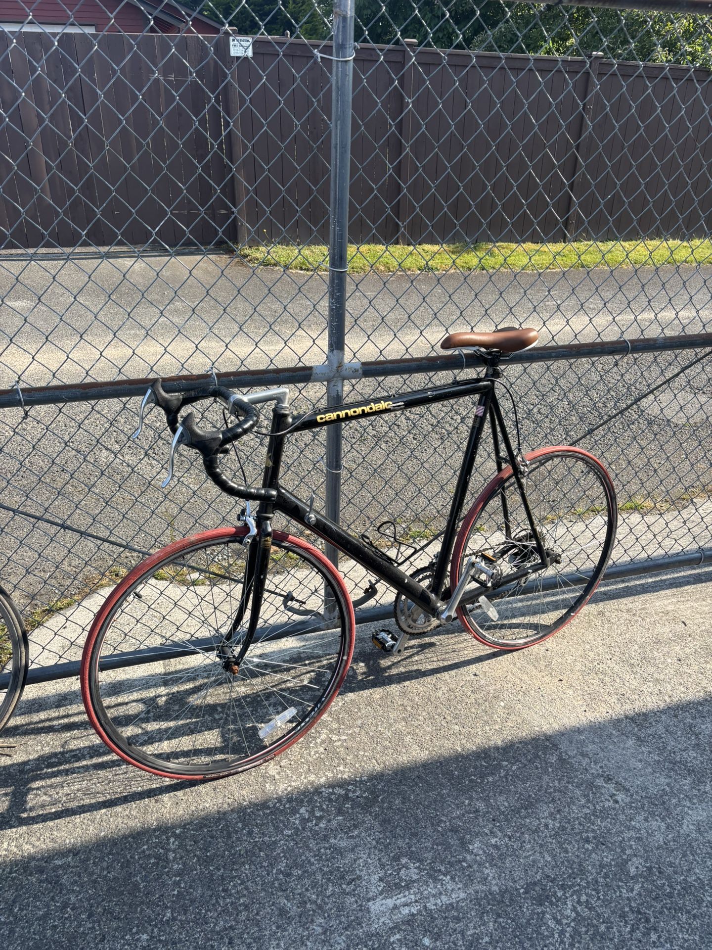 cannondale lightweight tall bike