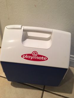 Lunch cooler playmate