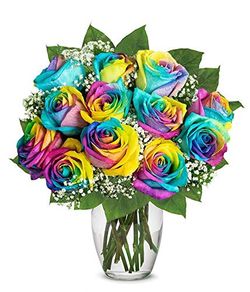 Rainbow 🌈 roses, rosas