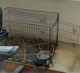 Dog Cage