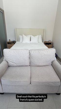 Small couch with pullout bed.