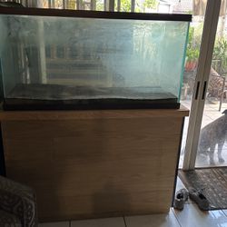 Fish Tank And Stand 