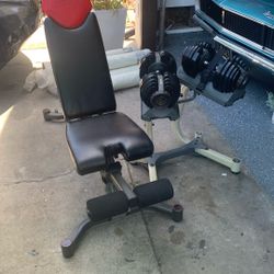 Dumbbells And Weight Bench 