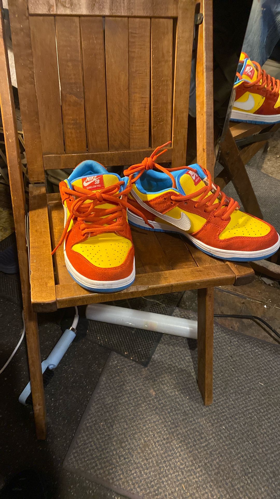 Nike Dunk Low Pro An
