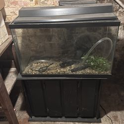 40 gallon glass aquarium tank w/ stand & filter