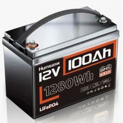 Humsienk 12V 100Ah LiFePO4 Battery