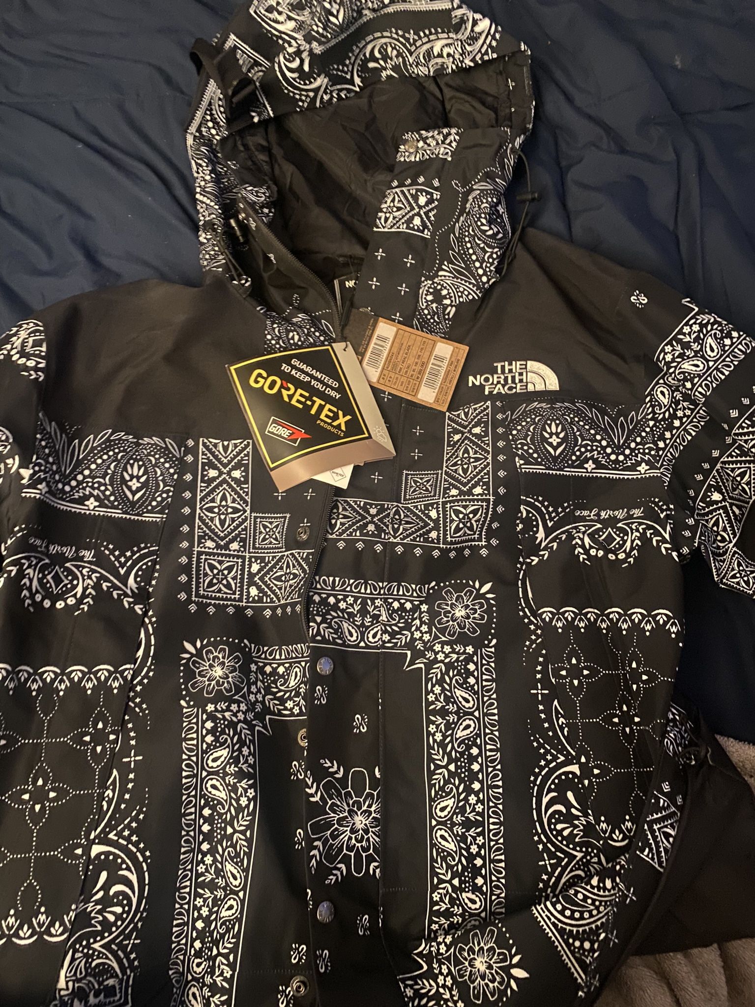 The North Face Snow Jacket