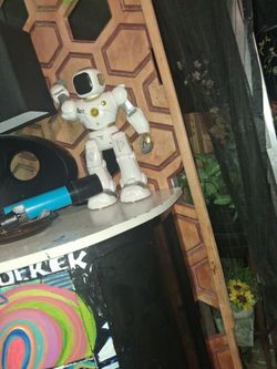 Chargeable robot