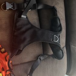 XL Dog Harness