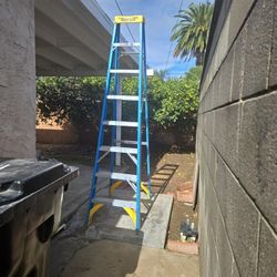 werner 8' Ladder 