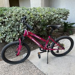 Nishiki 20” kids bike