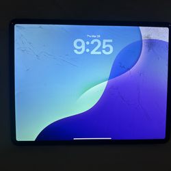 iPad Pro 12.9 inch 128 GB